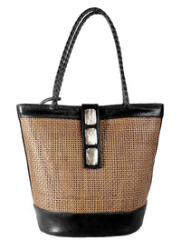 Rotan Tutup Kosmik