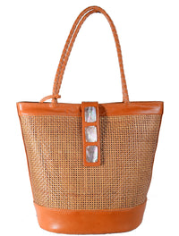 Rotan Tutup Kosmik