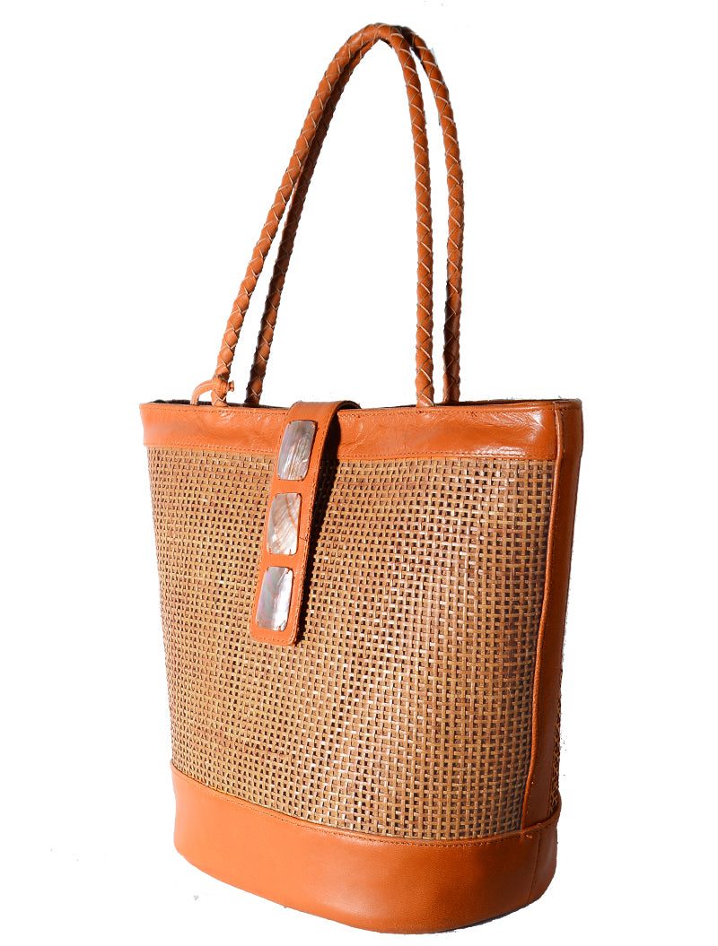 Rotan Tutup Kosmik